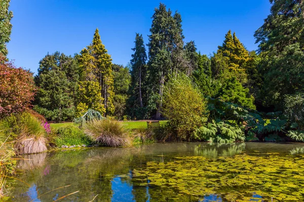 Malownicze Miasto Park Stylu Angielskim Christchurch Spokojna Rzeka Wśród Drzew — Zdjęcie stockowe