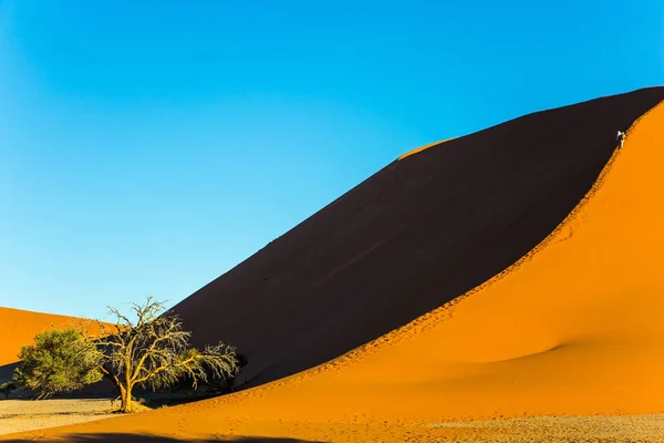 Begreppet Extrema Och Exotiska Turism Turister Klättra Till Toppen Dune — Stockfoto