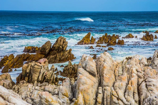 Береговые Камни Морской Серфинг Водоросли Камни Колония Пингвинов Национальном Парке — стоковое фото
