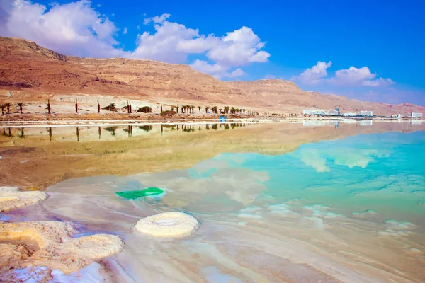  Palmiye ağaçları sahilde düzgün tuzlu suda yansıtılır. Sıcak yaz gününde Dead Sea, İsrail. Tıbbi ve ekolojik turizm kavramı 