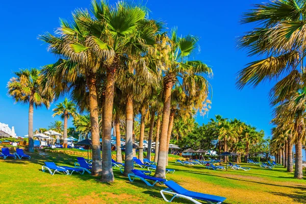 Vacanza Isola Nel Mar Mediterraneo Sdraio Sulla Spiaggia Pittoresco Palmeto — Foto Stock