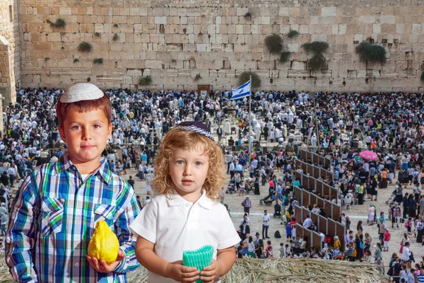 Muro Occidental Del Templo Dos Hermosos Chicos Judíos Con Gorras — Foto de Stock