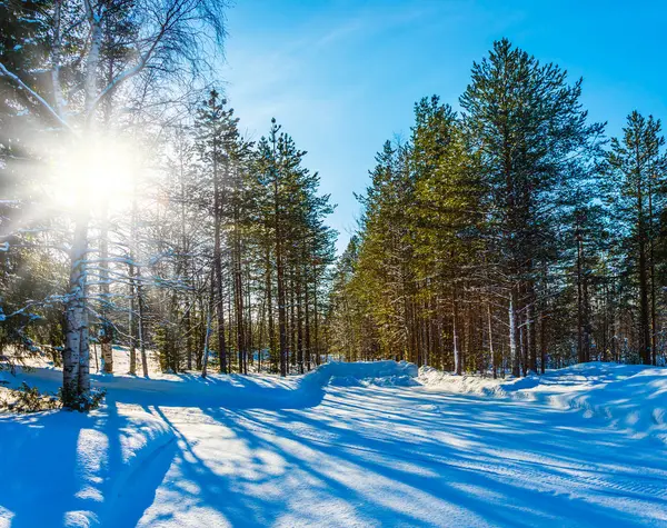Reis Naar Lapland Naar Kerstman Sneeuwwitje Kerstdag Poolcirkel Zonsondergang Het — Stockfoto