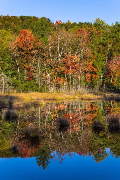 Concepto Turismo Ecológico Automovilístico Follaje Multicolor Los Bosques Otoñales Refleja —  Fotos de Stock