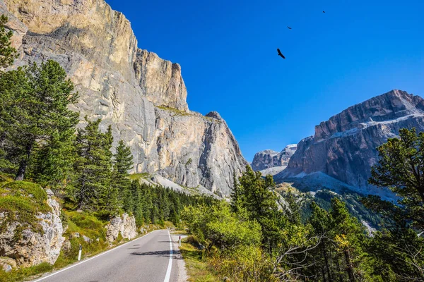 Pittoreska Vägen Sella Pass Dolomiterna Begreppet Ekologiska Och Extrema Turism — Stockfoto