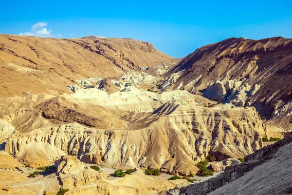 Dry ancient mountains in the vicinity of the Dead Sea. At the bottom of the canyon are several green trees. Bright hot summer day. The concept of extreme tourism