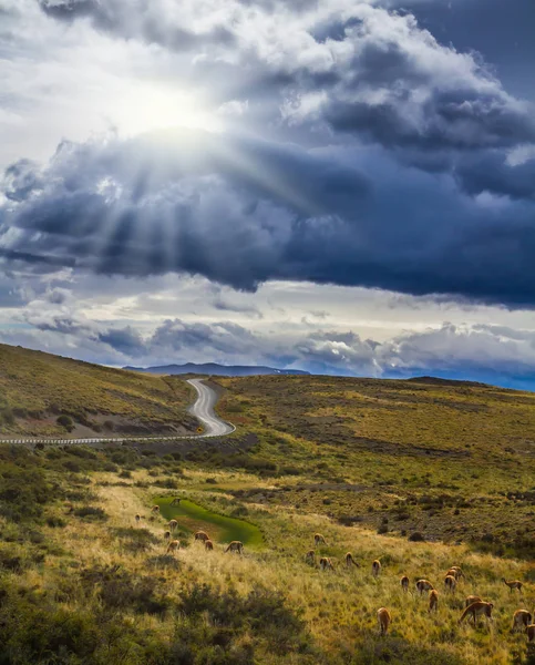 Štěrková Cesta Národním Parku Torres Del Paine Hory Skály Jsou — Stock fotografie