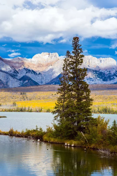 Vallei Langs Weg Van Pocahontas Rocky Mountains Canada Ondiep Water — Stockfoto