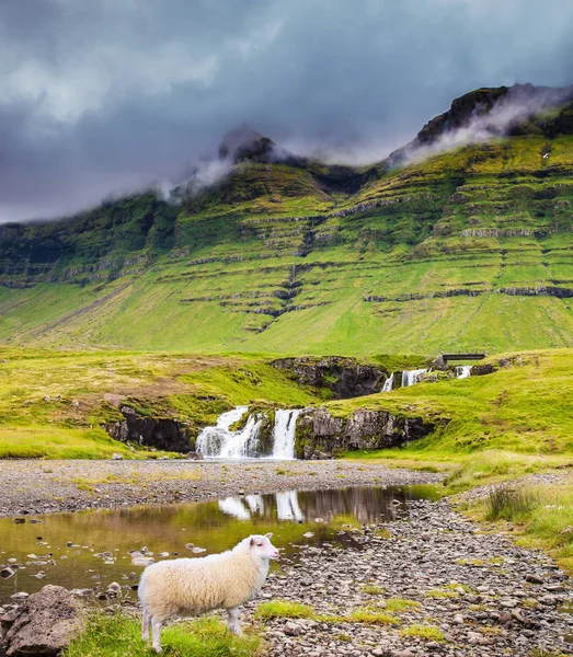 Καλοκαίρι Στην Ισλανδία Έννοια Του Τουρισμού Εξωτικά Και Ακραίες Στους — Φωτογραφία Αρχείου