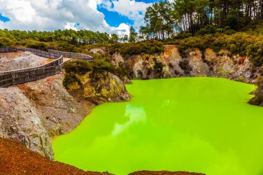 Termal harikalar Wai - O - Tapu var. Parlak yeşil opak su ile pitoresk göl. Yeni Zelanda, North Island. Aktif ve phototouris kavramı