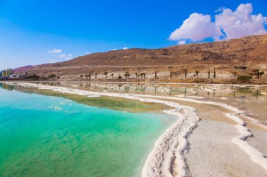 Tıbbi ve ekolojik turizm kavramı. Dead Sea, İsrail sığ deniz kenarı buharlaştırılmış tuz