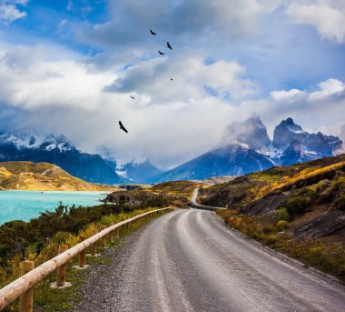 Yolun çevresinde göl Pehoe. Şili Patagonya. Torres del Paine Millî Parkı - biyosfer rezervi. Ekoturizm kavramının