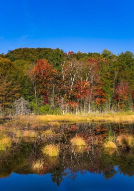 Bir ayna gibi pürüzsüz bir göldür. Yeşillik ormanların gölde yansıtılır. Fransızca Kanada - Mont Tremblant muhteşem beldesinde. Ekolojik turizm kavramı
