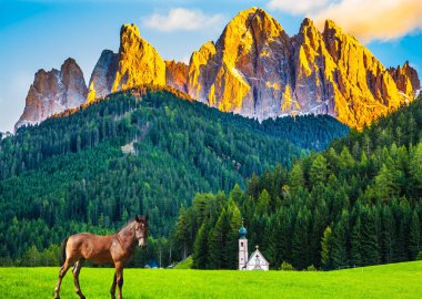 Sleek horse is grazing in the valley of the Dolomites. Magnificent serrated cliffs illuminate the summer sunset. The concept of eco-tourism in Tirol clipart