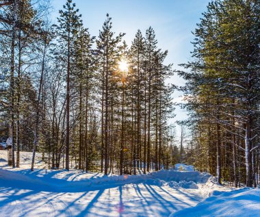  Kış ormanında gün batımı. Laponya 'ya, Noel Baba' ya git. Karlı bir Noel günü. Egzotik ve aşırı seyahat kavramı