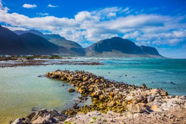 Kayalar penguen kolonisi Masa Dağı Milli Parkı'nda. Taş Spit-yarımadasında okyanus Körfez. Afrika siyah-beyaz penguenler. Güney Afrika. Ekoturizm kavramının