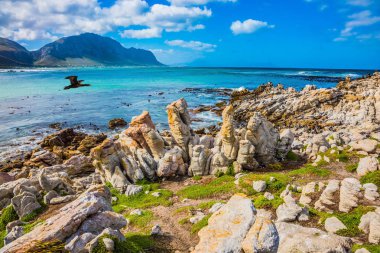 Kayalar penguen kolonisi Masa Dağı Milli Park, Güney Afrika için. Büyük taş okyanus kıyısında pitoresk sırt. Ekoturizm kavramının