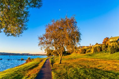 Sahilde bir gün batımı turuncu renkte boyanır. Muhteşem yaz Lake Taupo günbatımında. Aktif ve phototourism kavramı