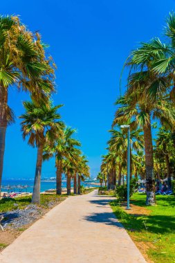 Güney Akdeniz adasında. Deniz kıyısı boyunca geniş yaya yolu palmiye ağaçları ile kaplı olduğu. Bir klasik plaj tatil kavramı