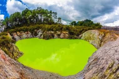 Termal harikalar Wai - O - Tapu var. Göl yeşil opak su ile. Yeni Zelanda, North Island. Aktif ve phototourism kavramı