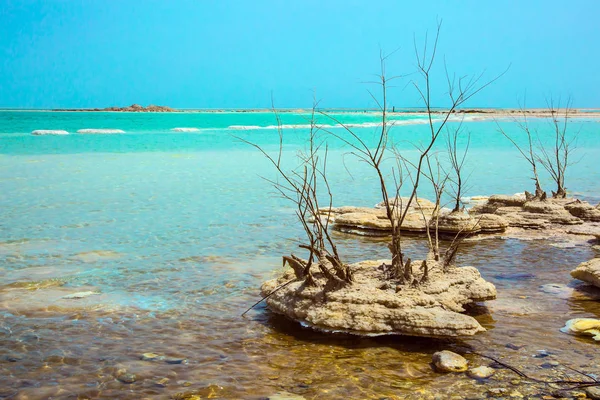 イスラエル 永遠に生きている死海 薬用塩湖の美しい島 生態学的および治療的観光の概念 — ストック写真