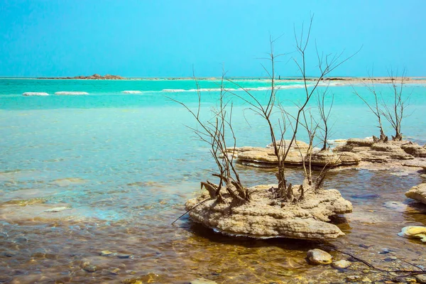 以色列 永远活着的死海 湖中风景如画的药用盐岛 生态与治疗旅游的概念 — 图库照片