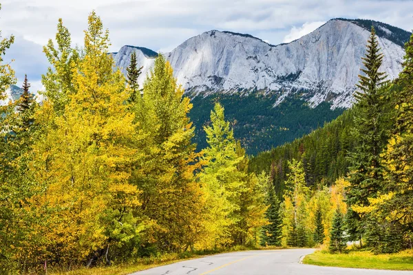 Warme Nazomer Rocky Mountains Canada Weg Een Van Prachtige Herfst — Stockfoto