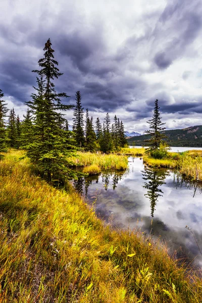 雨の雲谷の上カーソルを置きます 細長いスプルース美しく 湖の滑らかな水に反映されます カナダのロッキー山脈 アクティブと写真観光の概念 — ストック写真