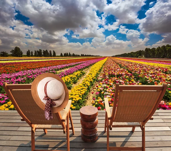 Concept of ecological tourism. Rural rest. Wooden chaise lounges  in the meadow with flowers. An elegant straw women\'s hat on a back a chaise loung