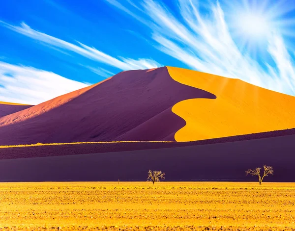 Žhavé Slunce Pouště Namib Namibie Jižní Afrika Západ Slunce Koncept — Stock fotografie