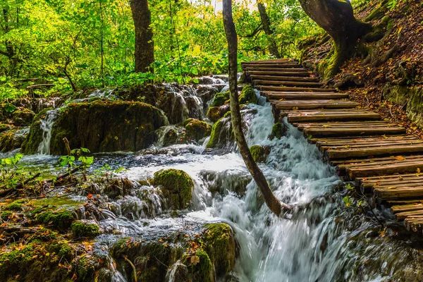 Stormy waterfall in a forest stream. Wooden flooring for tourists. Plitvice Lakes in Croatia on a sunny warm day.  The concept of ecological and active tourism