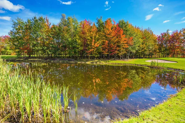 Concept Recreational Tourism Shining Day French Canada Autumn Foliage Reflected — Stock Photo, Image