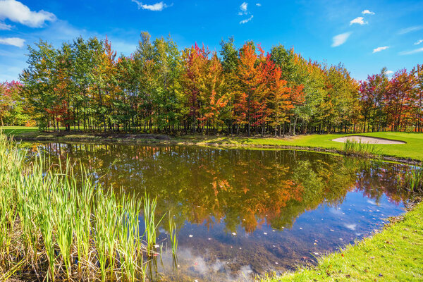 Concept of recreational tourism. Shining day in French Canada. Autumn foliage reflected in clear water of the pond. Adorable pure pond overgrown with reeds