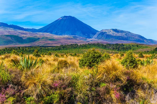 Ngauruhoe Volcán Activo Más Joven Macizo Volcánico Del Parque Tongariro — Foto de Stock