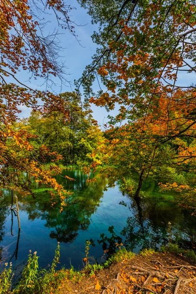 Röd Orange Blad Hösten Träd Återspeglas Smidig Vatten Plitvice Lakes — Stockfoto