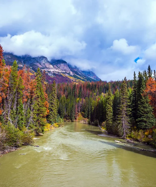 Herfst Bossen Groeien Langs Oevers Van Rivier Van Koude Zware — Stockfoto