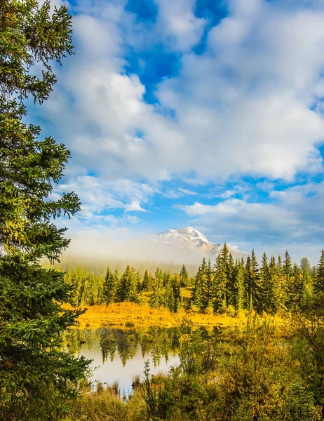 Concept Ecological Tourism Morning Mist Spreads Forest Pyramid Mountain Fog — Stock Photo, Image