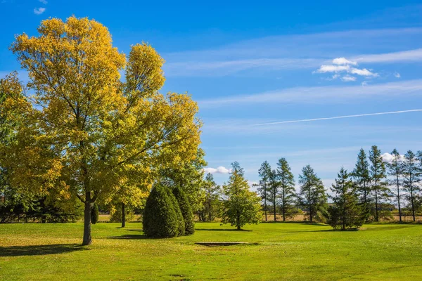 Perfekten Warmen Sonnigen Tag Golfplatz Mit Grünem Rasen Das Konzept — Stockfoto