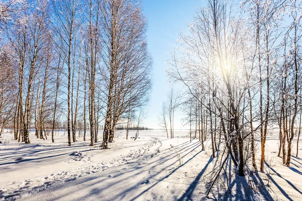 크리스마스입니다 북극의 겨울입니다 태양은 수평선의 극단적인 관광의 — 스톡 사진