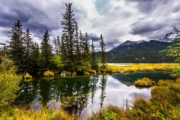 波卡洪塔斯公路沿线的山谷 浅层的湖泊是用沼泽草生长的 多云的天空反映在湖面上 加拿大的落基山脉 主动和摄影旅游的概念 — 图库照片