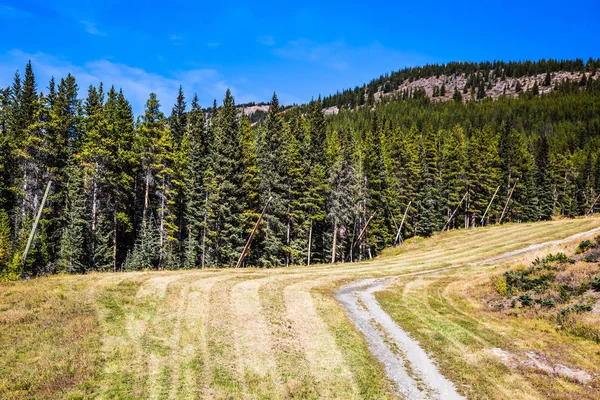 Klippiga Bergen Kanada Bergen Runt Den Lake Louise Vackra Soliga — Stockfoto