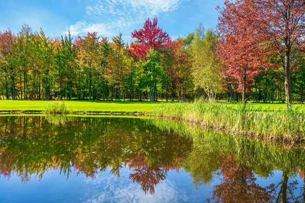 Czerwone Zielone Liście Jesienią Odzwierciedlenie Czystej Wodzie Jeziora Shining Słoneczny — Zdjęcie stockowe
