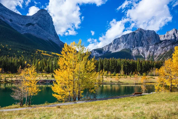Tabiat Parkı Şehrin Canmore Kanada Kız Kardeş Dağlar Yapraklı Iğne — Stok fotoğraf