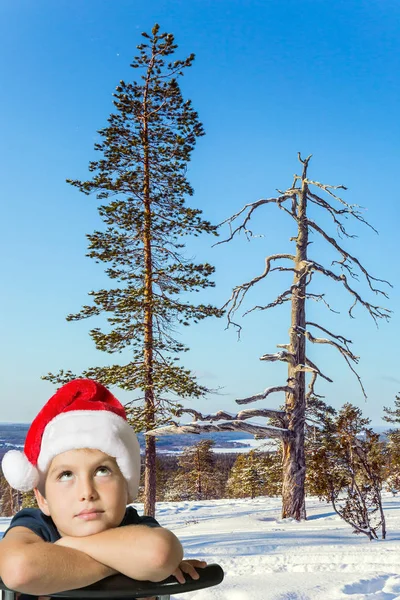 Karlı Bir Ormanda Yeni Yıl Için Kırmızı Bir Noel Baba — Stok fotoğraf