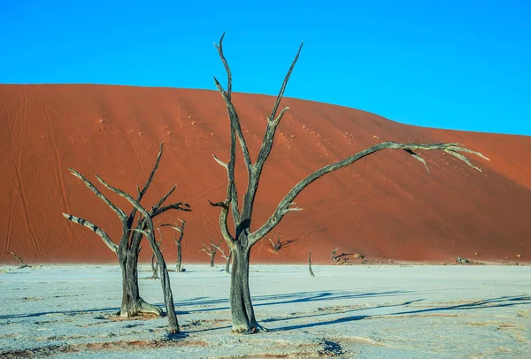 Concept Voyage Exotique Dunes Sable Orange Autour Lac Asséché Coucher — Photo