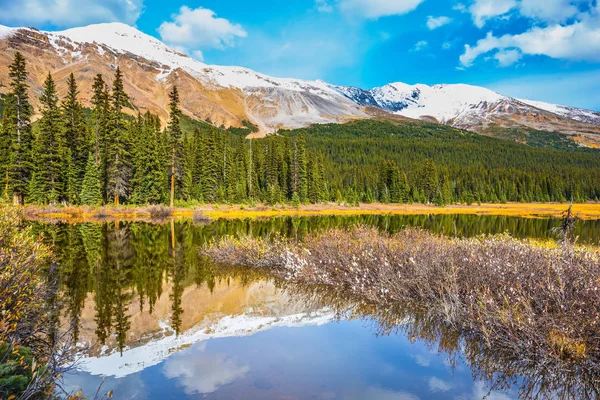 Concepto Ecoturismo Turismo Activo Valle Pantanoso Las Montañas Rocosas Canadá —  Fotos de Stock