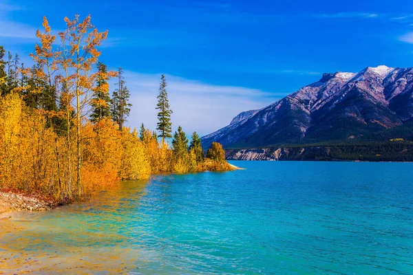 Bright Colors Autumn Incredibly Beautiful Abraham Lake Turquoise Water Shores — Stock Photo, Image