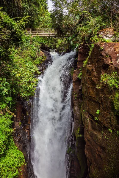 Mächtiger Strom Eines Der Vielen Wasserfälle Argentinien Leguazu Fällt Das — Stockfoto