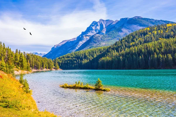 Die Ufer sind mit Nadelwäldern bedeckt — Stockfoto