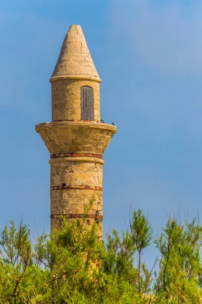 De bomen en de minaret — Stockfoto